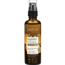 Spray d'Ambiance Bio Mentalstark 