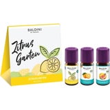 TAOASIS Baldini 3er-Duftset Zitrusgarten® bio