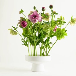 Hanataba Ikebana Bowl - White