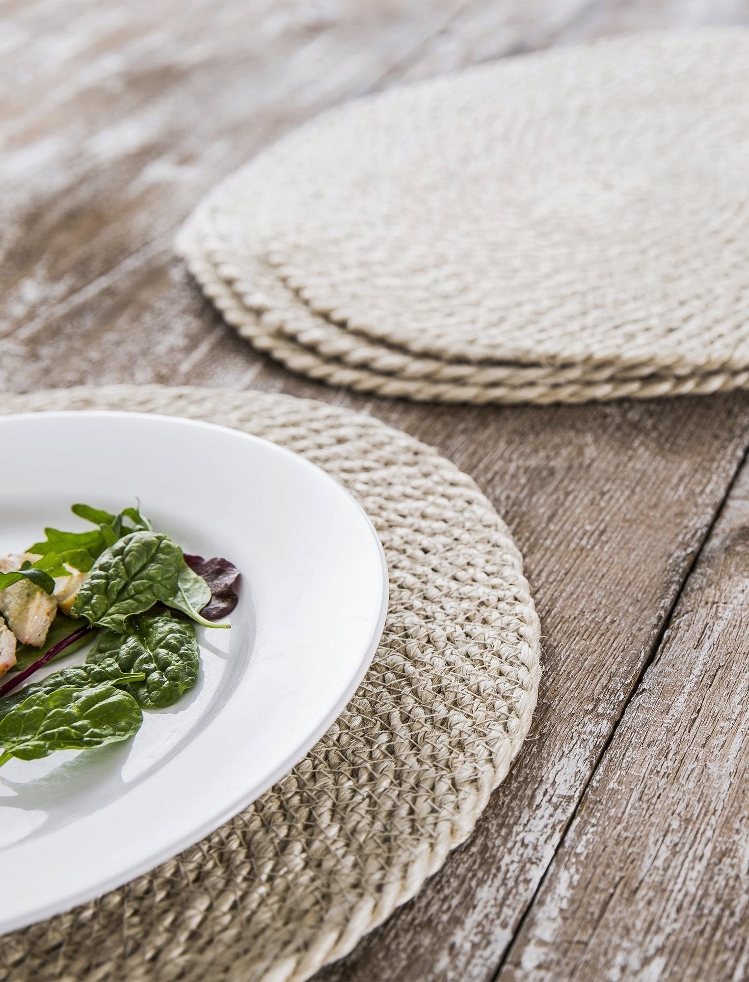 Garden Trading Set of 4 Placemats - 1 Set