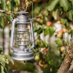 Feuerhand  Lampe-Tempête 