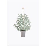 Eulenschnitt Akvarelna kartica