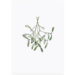 Eulenschnitt Aquarelkaart - Mistletoe