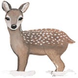 Eulenschnitt Ansichtkaart