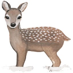 Eulenschnitt Postcard - Deer