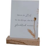 Eulenschnitt Carte Postale