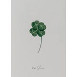 Eulenschnitt Foldable Card