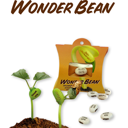 Feel Green Wonder Bean - Tanti Auguri - 1 pz.