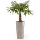 Ecopots Amsterdam Pflanztopf Mid High 66 - Taube