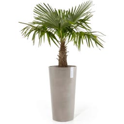 Ecopots Amsterdam Pflanztopf Mid High 66 - Taube