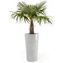 Ecopots Amsterdam Pflanztopf Mid High 66 - Weissgrau