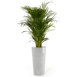 Ecopots Amsterdam Pflanztopf High 76 - Weissgrau