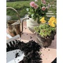 LIVLIG Pflanzmatte 50 x 75 cm - Rosa