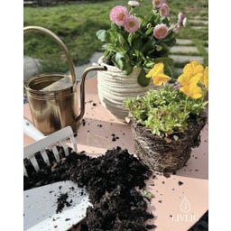 LIVLIG Pflanzmatte 50 x 75 cm - Rosa