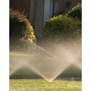 Livlig Brass Sprinkler - 1 item