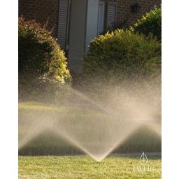 Livlig Brass Sprinkler - 1 item