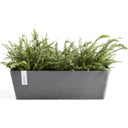 Bruges Blomlåda med Vattenreservoar 55 cm - Grå