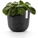 Oslo Pflanztopf mit Wasserreservoir - dunkelgrau - Ø 25 cm, Höhe 21,8 cm