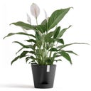 Ecopots Venice 2 - Dark Grey - Ø 20 cm, A 17,5 cm