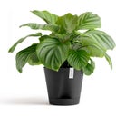 Ecopots Venice 2 Gris Foncé - Ø 30 cm, hauteur 27,5 cm