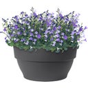 elho Pot VIBIA Campana Coupe - 27 cm - anthracite