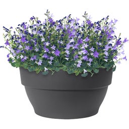 elho Pot VIBIA Campana Coupe - 27 cm - anthracite