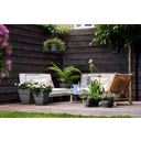 elho Pot VIBIA Campana Coupe - 27 cm - anthracite