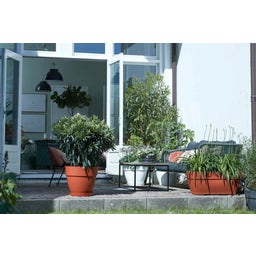 elho Pot VIBIA Campana Coupe - 27 cm - anthracite