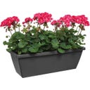 elho barcelona trough, 50 cm - Antracite