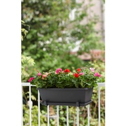 elho barcelona Balcony Box Coaster 40cm - anthracite