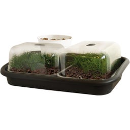 elho green basics garden tray