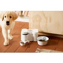 IB Laursen Storage Tin for Dog Food and Treats - 1 item