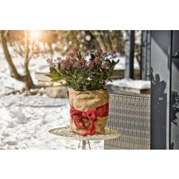 Windhager Nastro in Iuta - 10 cm x 25 m - rosso