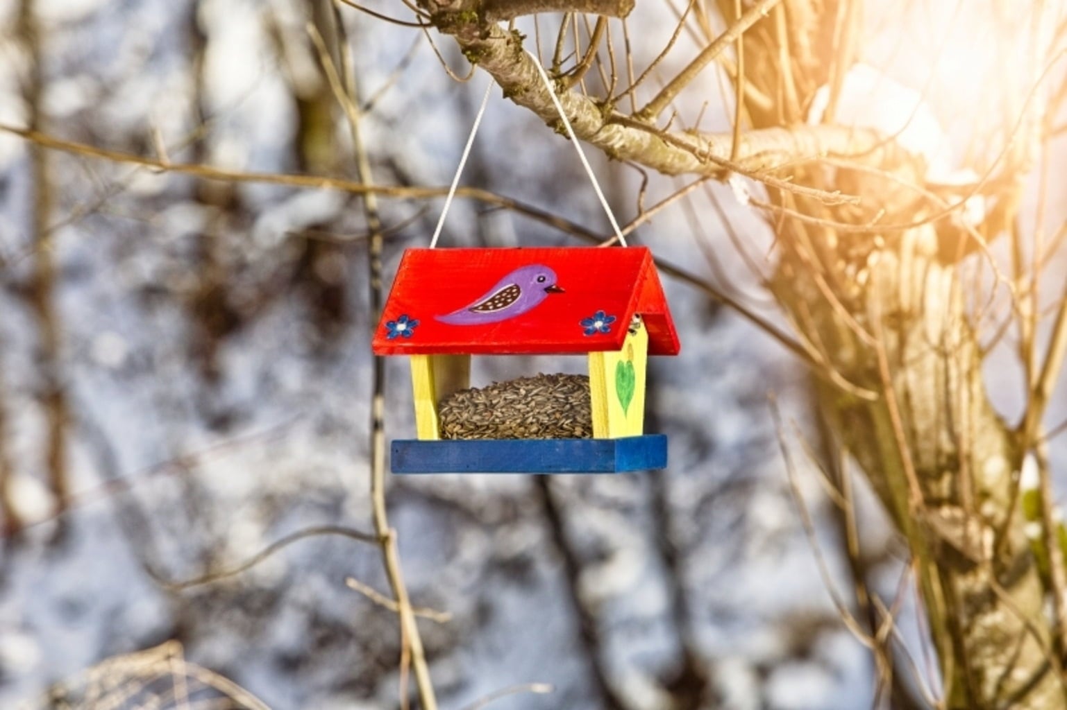 Windhager Fågelmatare Byggsats “Woodpecker