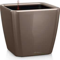 Lechuza Jardinière QUADRO Premium LS 50 - Taupe brillant