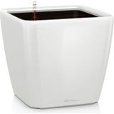 Lechuza QUADRO Premium LS 35 Planter