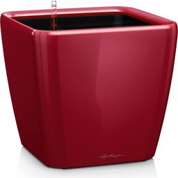 Lechuza Quadro Premium LS 28 Planter - Scarlet Red - High Gloss