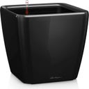 Lechuza Quadro Premium LS 28 Planter - Black - High Gloss