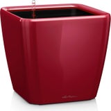 Lechuza Macetero QUADRO Premium LS 21