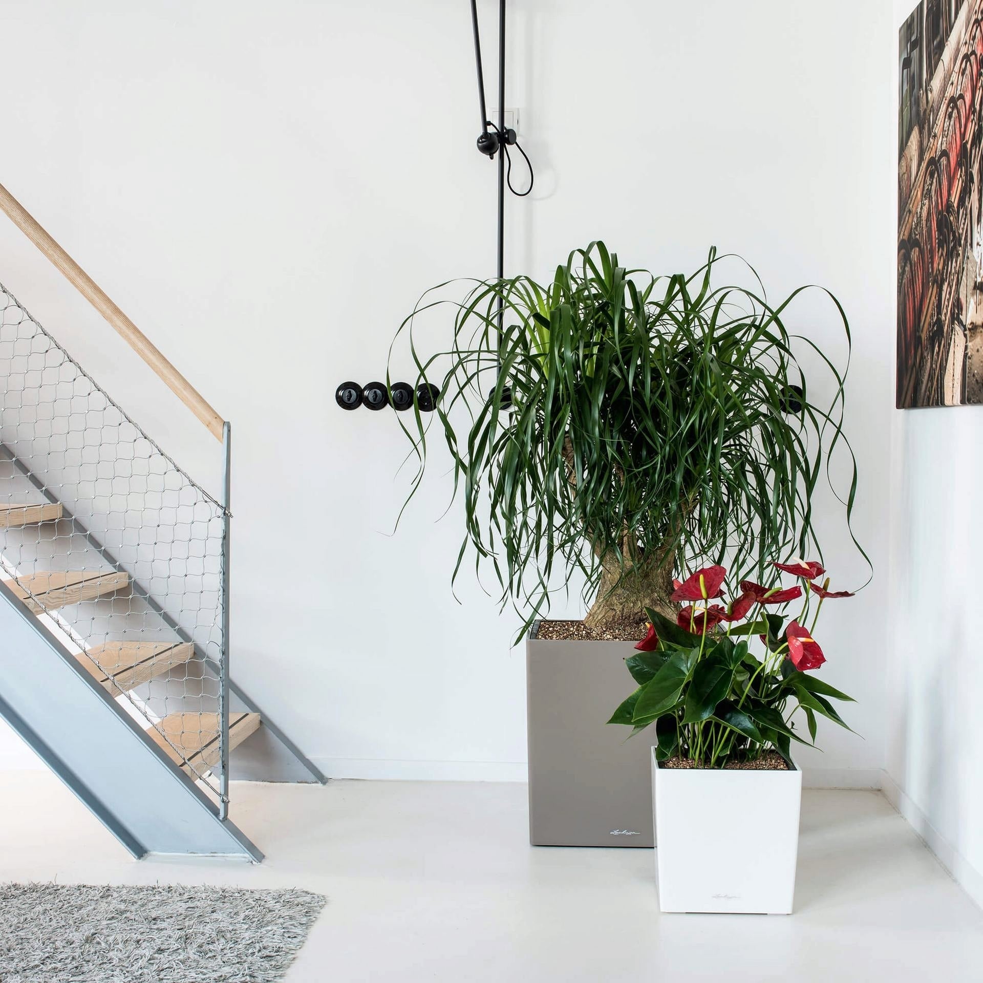 Lechuza CUBE Premium 30 Planter