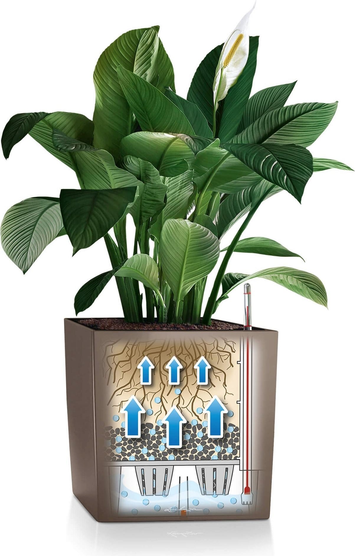Lechuza CUBE Premium 30 Planter