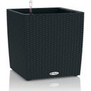 Lechuza Cube Cottage Planter 50 - Graphite Black