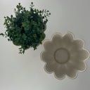 Miljögården Cache-Pot 