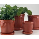 Miljögården Cache-Pot 