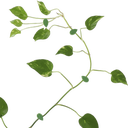 Esschert Design Leaf Plant Clips, Set of 10 - 1 set