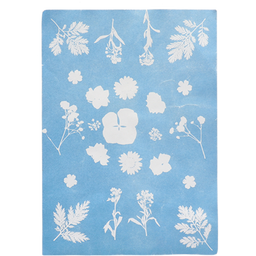 Esschert Design Solfotopapper - A5 set/12