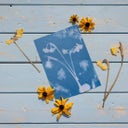 Esschert Design Solar Photo Paper - A5 Set of 12