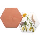 Presse à Fleurs et Herbes pour le Micro-ondes - 1 pcs