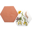 Esschert Design Microwave Flower & Herb Press - 1 item