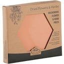 Esschert Design Magnetron Bloemen- en Kruidenpers